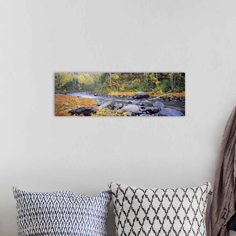 A bohemian room featuring Panoramic photograph of rock stream running through the woods.