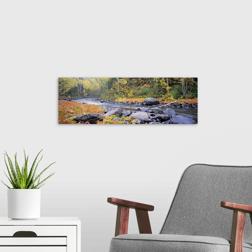 A modern room featuring Panoramic photograph of rock stream running through the woods.