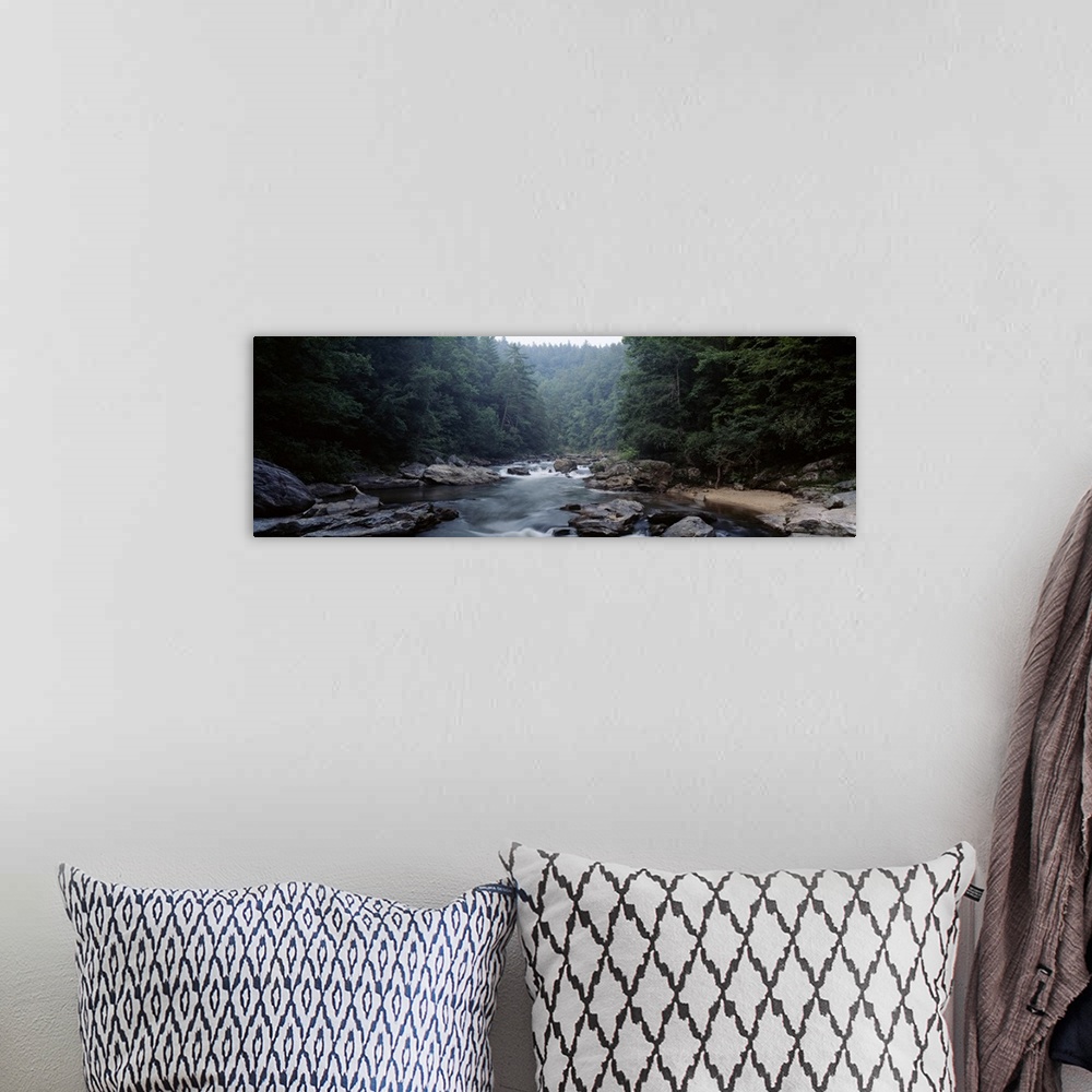 A bohemian room featuring Large panoramic picture taken of a river cutting through immense trees with rocks lining the side...