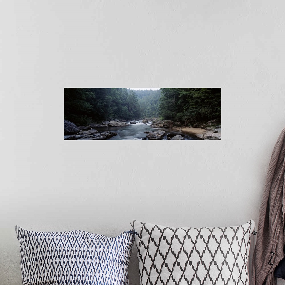A bohemian room featuring Large panoramic picture taken of a river cutting through immense trees with rocks lining the side...