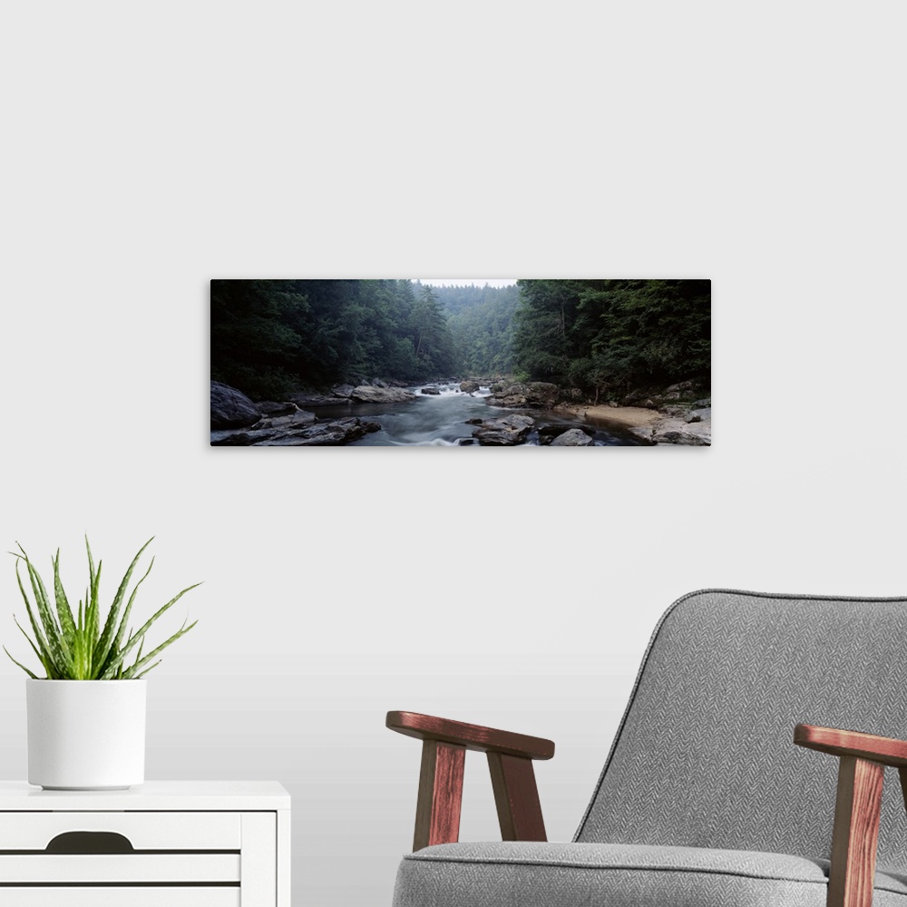 A modern room featuring Large panoramic picture taken of a river cutting through immense trees with rocks lining the side...