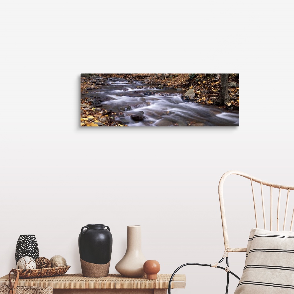 A farmhouse room featuring River flowing through a forest Delaware Water Gap National Recreation Area New Jersey