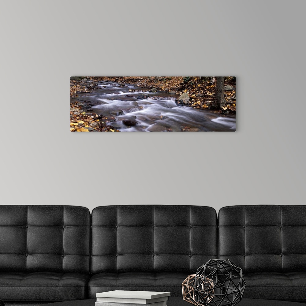A modern room featuring River flowing through a forest Delaware Water Gap National Recreation Area New Jersey