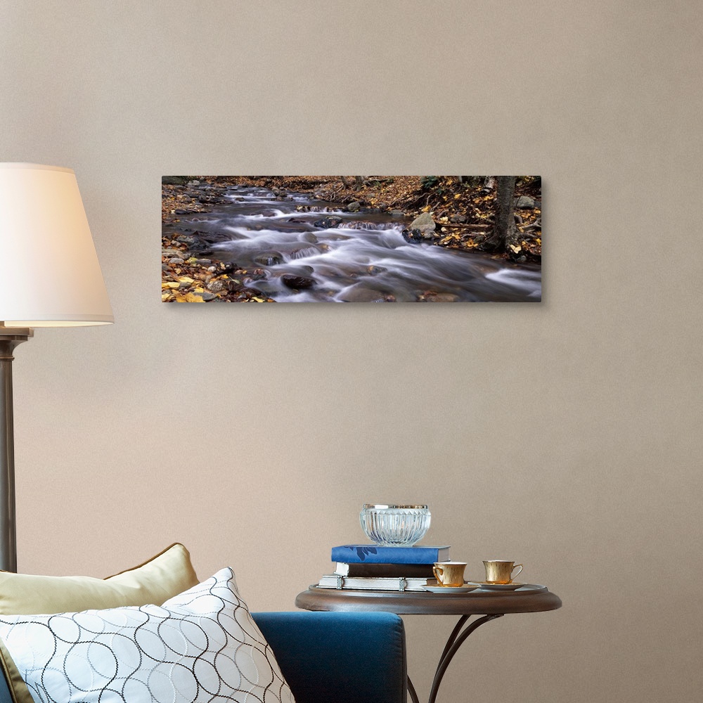 A traditional room featuring River flowing through a forest Delaware Water Gap National Recreation Area New Jersey