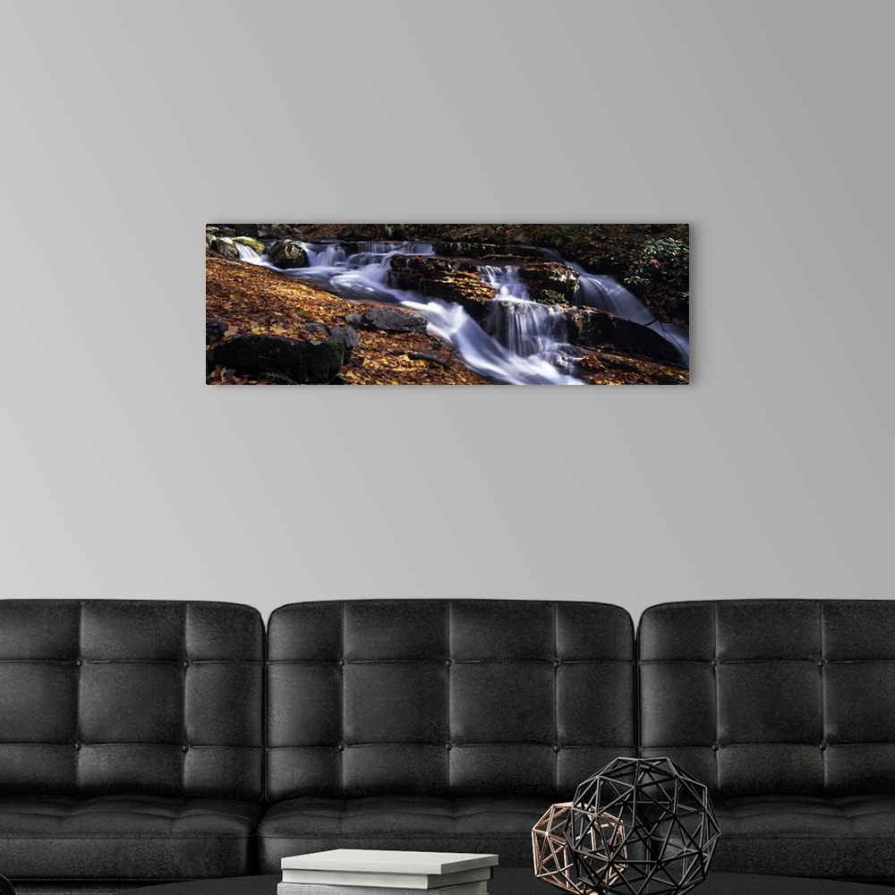 A modern room featuring River flowing through a forest Delaware Water Gap National Recreation Area New Jersey