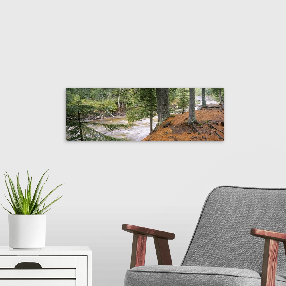 A modern room featuring Gooseberry River running through the woods of the Gooseberry Falls State Park in Minnesota.