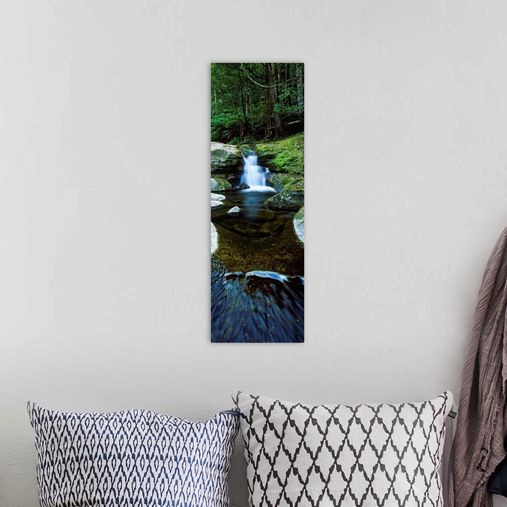 A bohemian room featuring River flowing through a forest, Liffey Falls, Liffey River, Tasmania, Australia