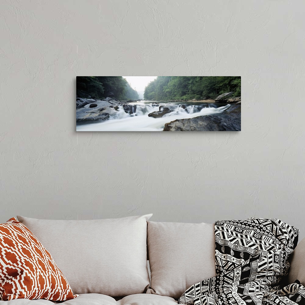 A bohemian room featuring River flowing through a forest, Raven Chute, Chattooga River, Georgia and South Carolina