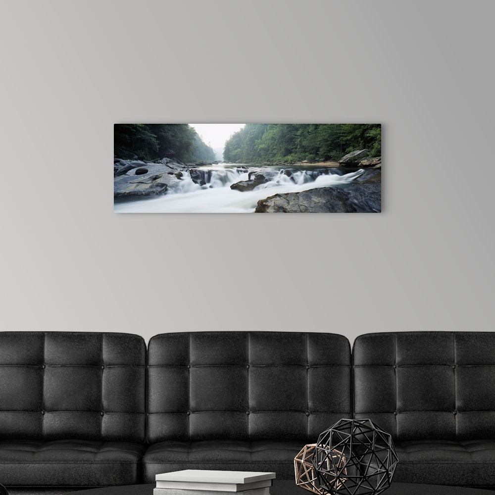A modern room featuring River flowing through a forest, Raven Chute, Chattooga River, Georgia and South Carolina