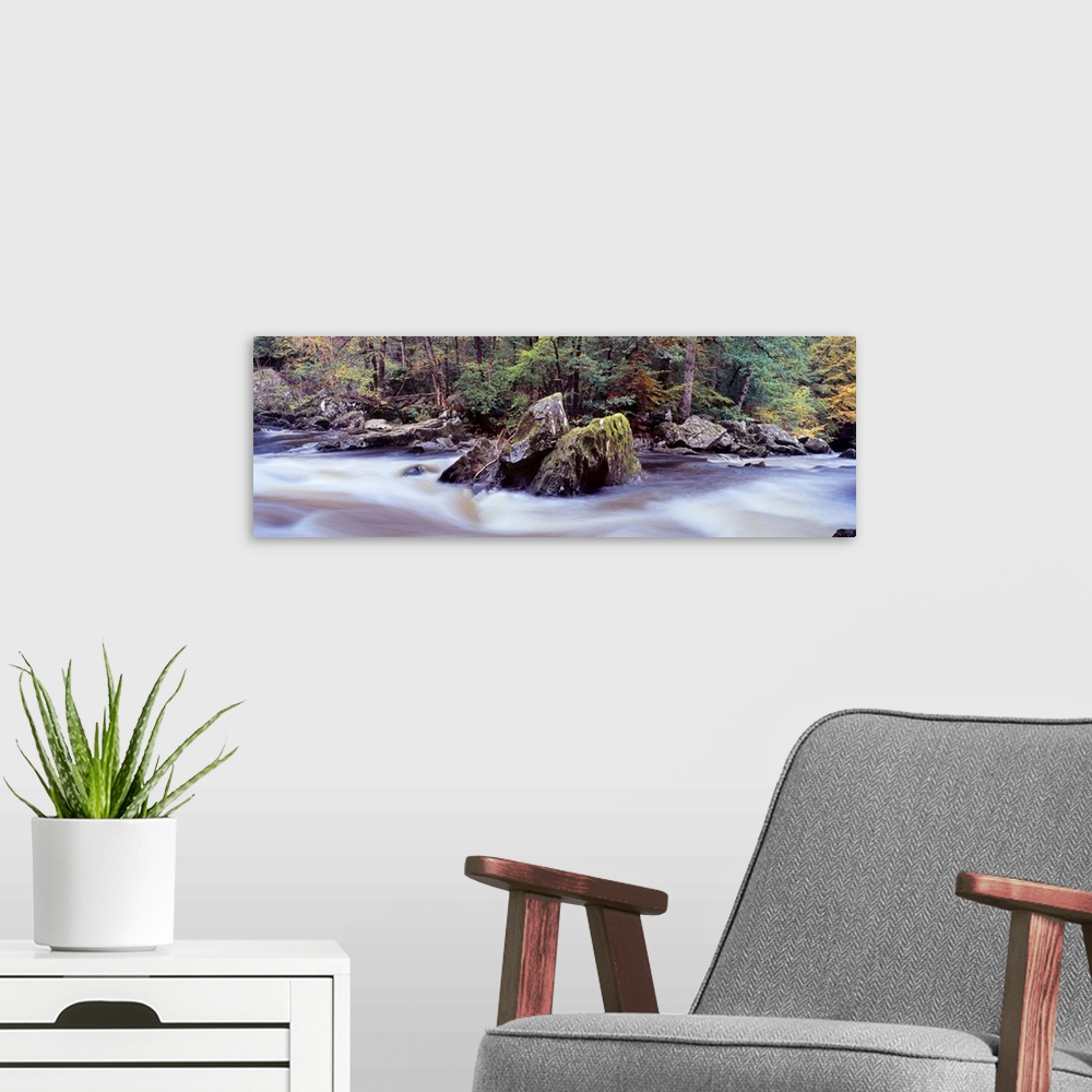 A modern room featuring River flowing through a forest River Braan The Hermitage Dunkeld Perth and Kinross Scotland