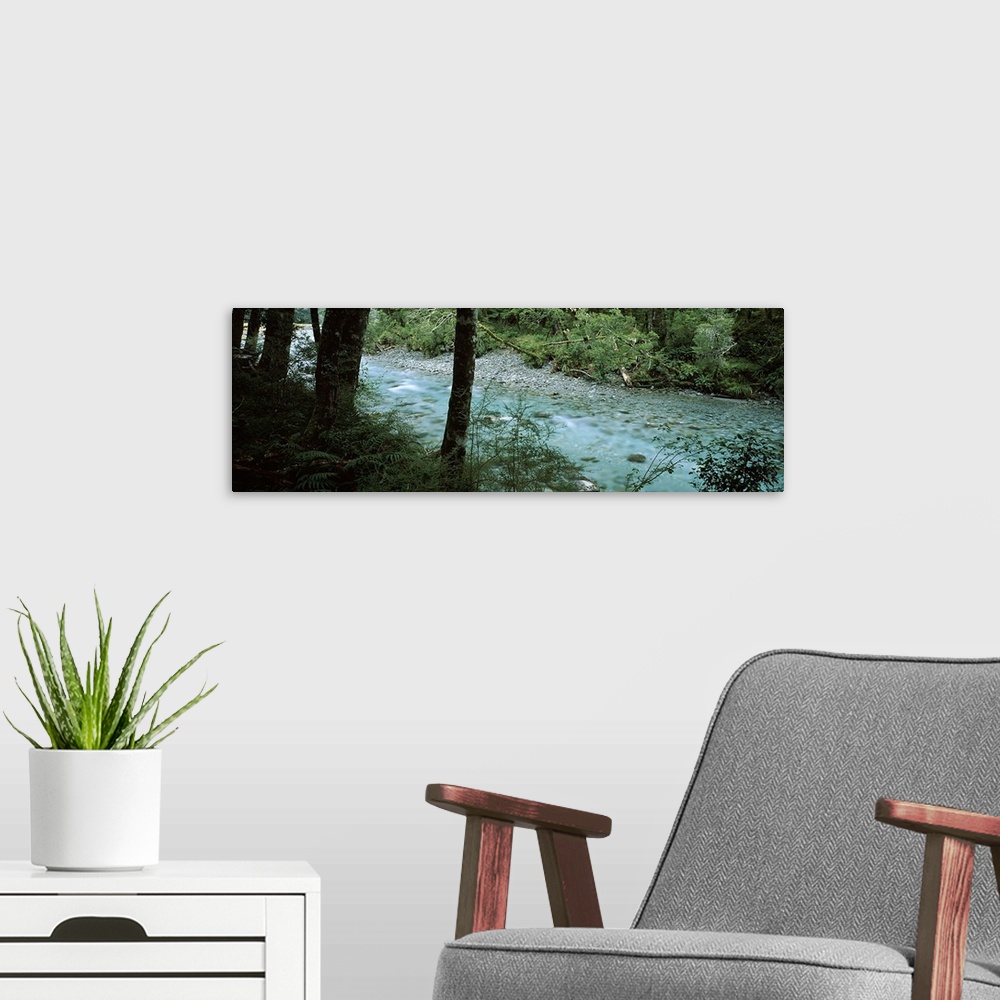 A modern room featuring River flowing through a forest, Routeburn River, Mt Aspiring National Park, South Island, New Zea...