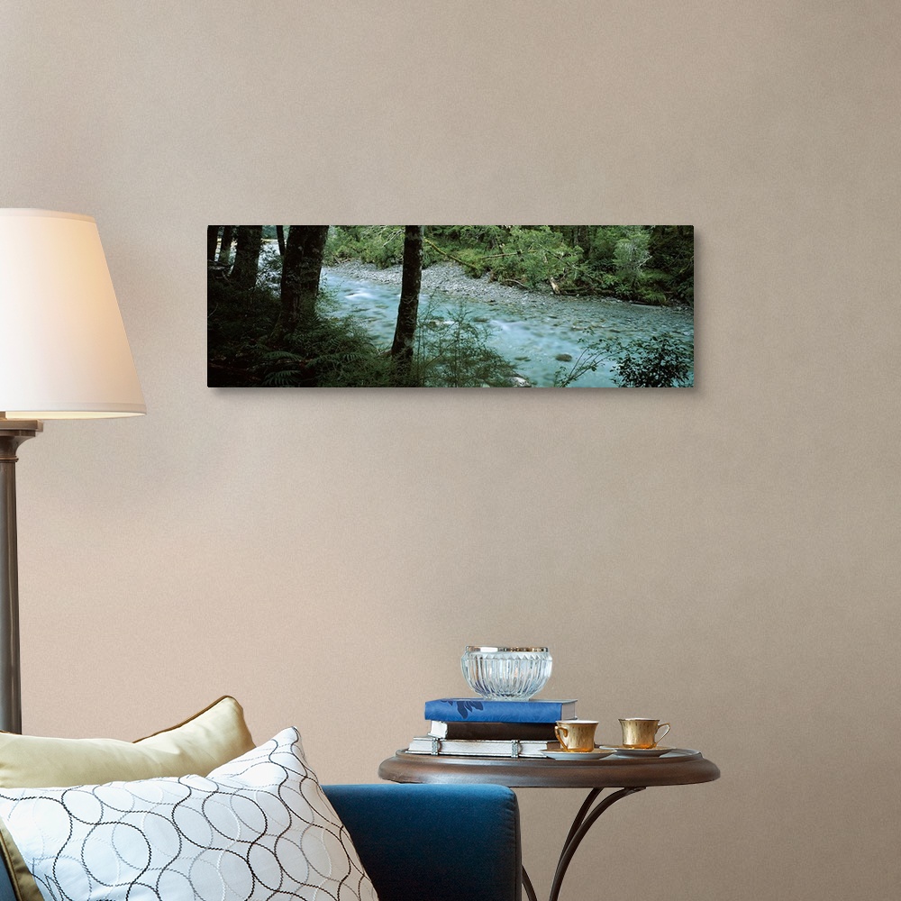 A traditional room featuring River flowing through a forest, Routeburn River, Mt Aspiring National Park, South Island, New Zea...