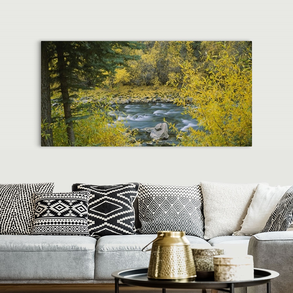 A bohemian room featuring River flowing through a forest, San Miguel River, San Juan Mountains, San Miguel County, Colorado