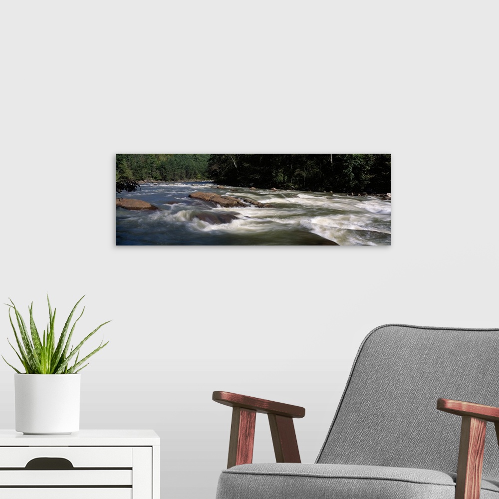 A modern room featuring River flowing through a forest, Slice and Dice Rapids, Ocoee River, Cherokee National Forest, Ten...