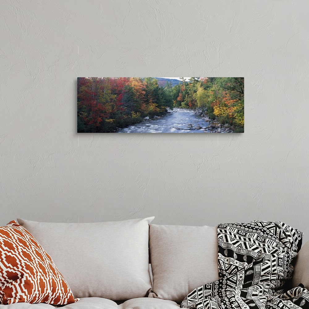 A bohemian room featuring River flowing through a forest, Swift River, Conway, Carroll County, New Hampshire