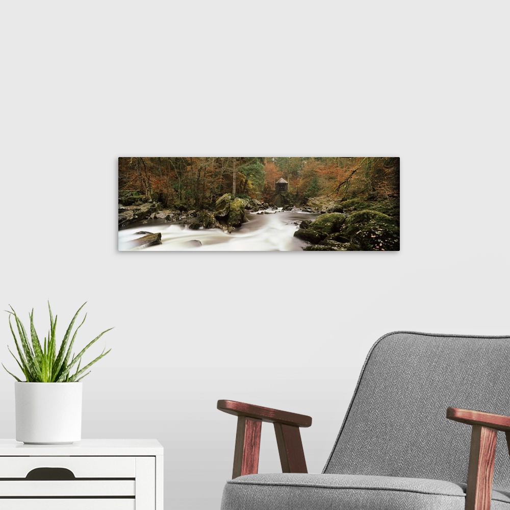 A modern room featuring River flowing through a forest, The Hermitage, Dunkeld, Perth And Kinross, Scotland