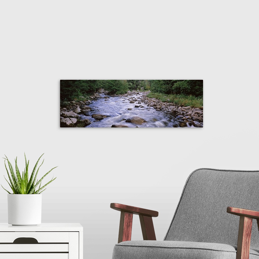 A modern room featuring A river flows over rocks with thick brush and foliage lining both sides of the water.