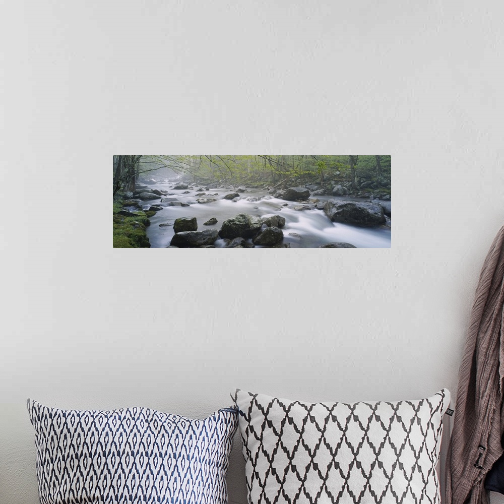A bohemian room featuring Wall art of water rushing over and through rocks in a river with a forest on either side.