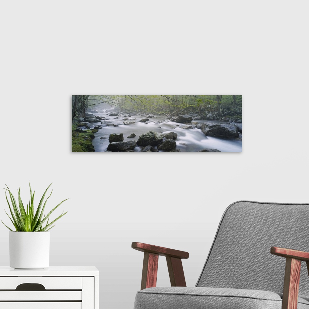 A modern room featuring Wall art of water rushing over and through rocks in a river with a forest on either side.