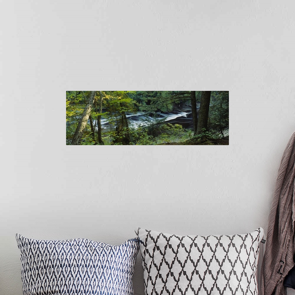 A bohemian room featuring River flowing through the forest, Presque Isle River, Porcupine Mountains, Michigan
