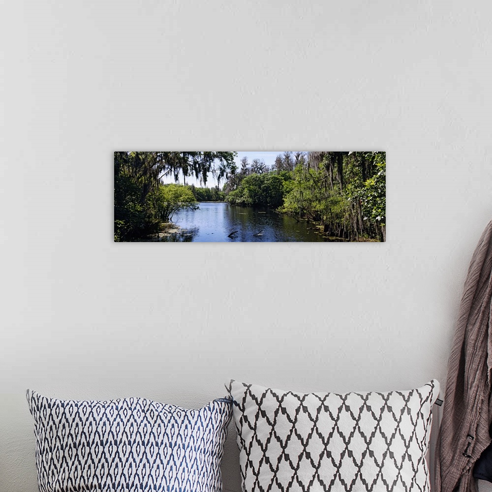 A bohemian room featuring Oversized landscape photograph looking down the Hillsborough River, surrounded by tall green tree...