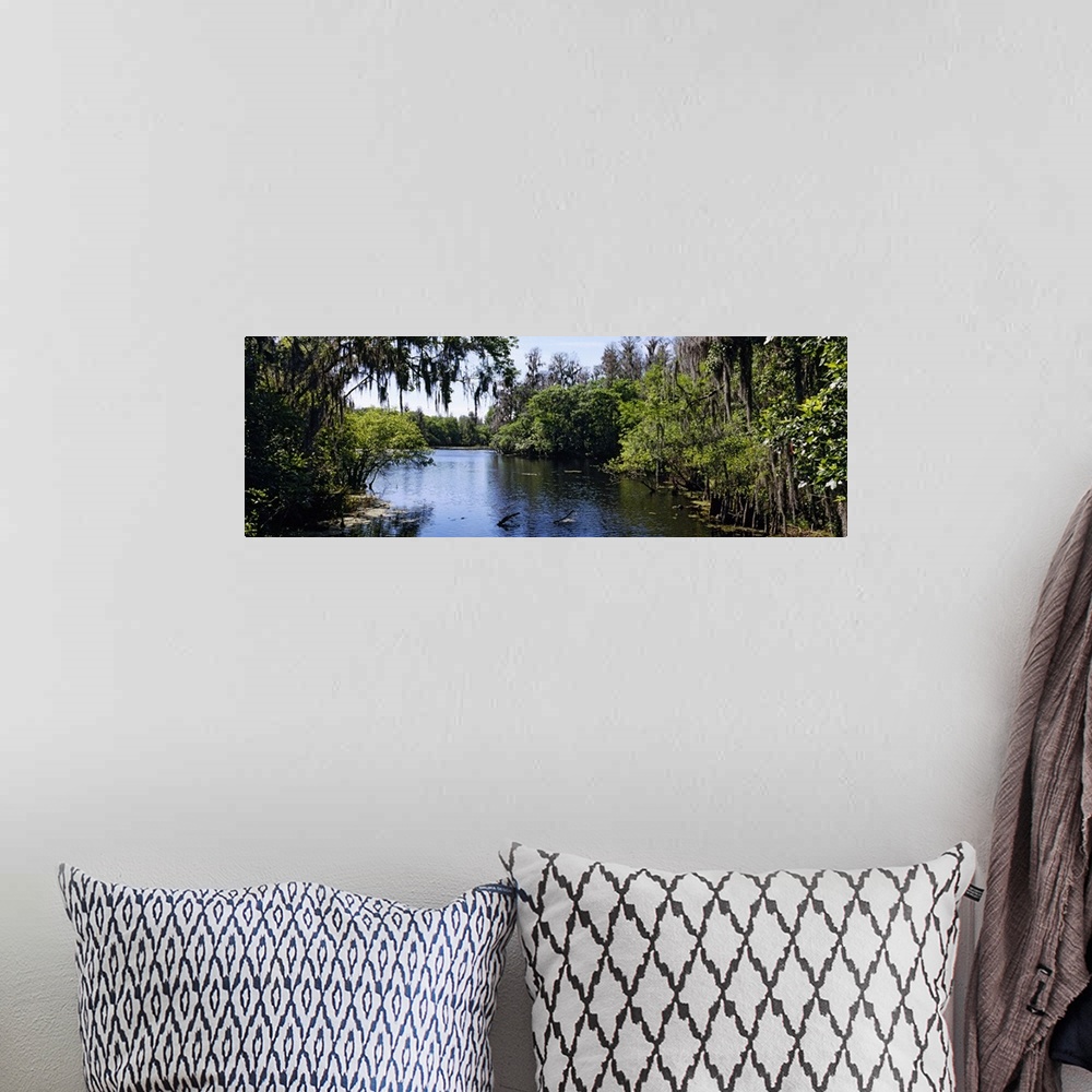 A bohemian room featuring Oversized landscape photograph looking down the Hillsborough River, surrounded by tall green tree...