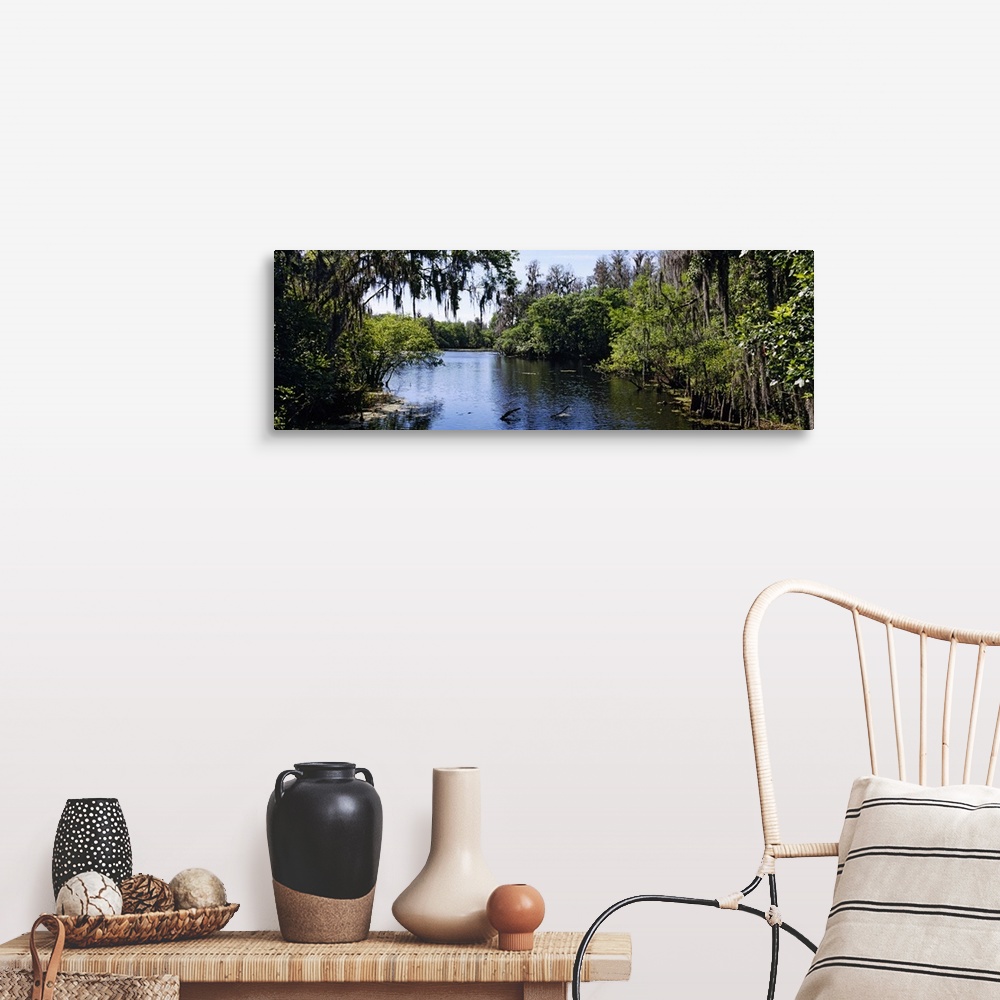 A farmhouse room featuring Oversized landscape photograph looking down the Hillsborough River, surrounded by tall green tree...