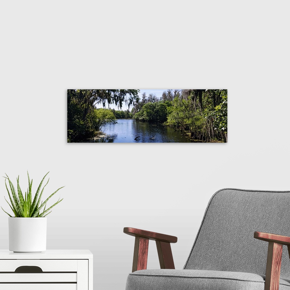 A modern room featuring Oversized landscape photograph looking down the Hillsborough River, surrounded by tall green tree...