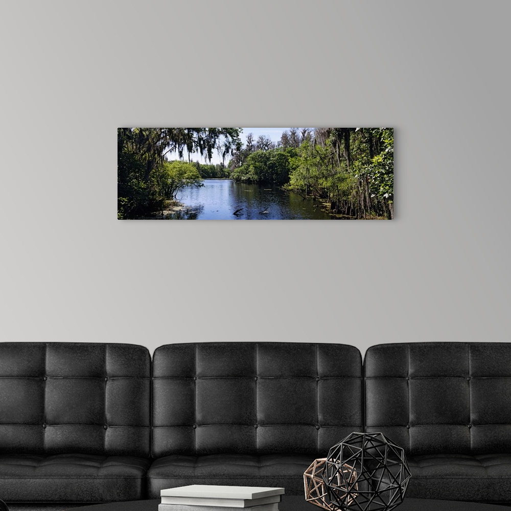A modern room featuring Oversized landscape photograph looking down the Hillsborough River, surrounded by tall green tree...