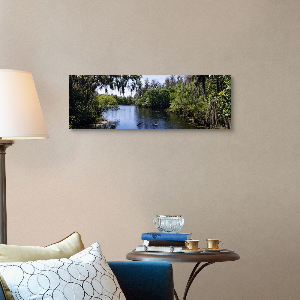 A traditional room featuring Oversized landscape photograph looking down the Hillsborough River, surrounded by tall green tree...