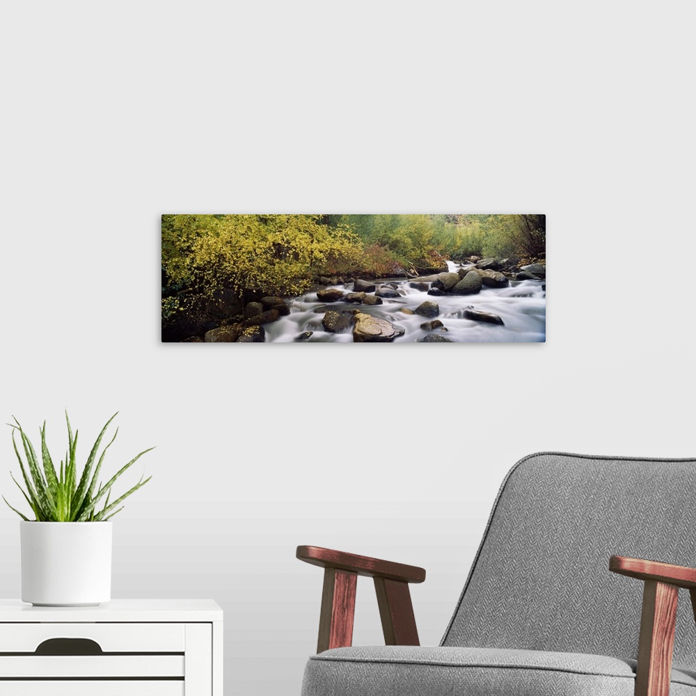 A modern room featuring River passing through a forest, Inyo County, California,