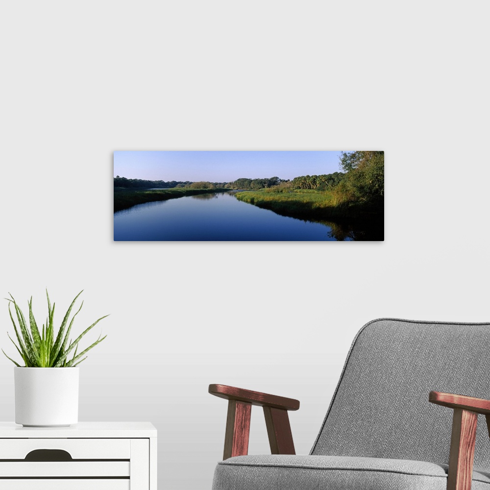 A modern room featuring River passing through a forest, Myakka River, Myakka River State Park, Sarasota, Sarasota County,...
