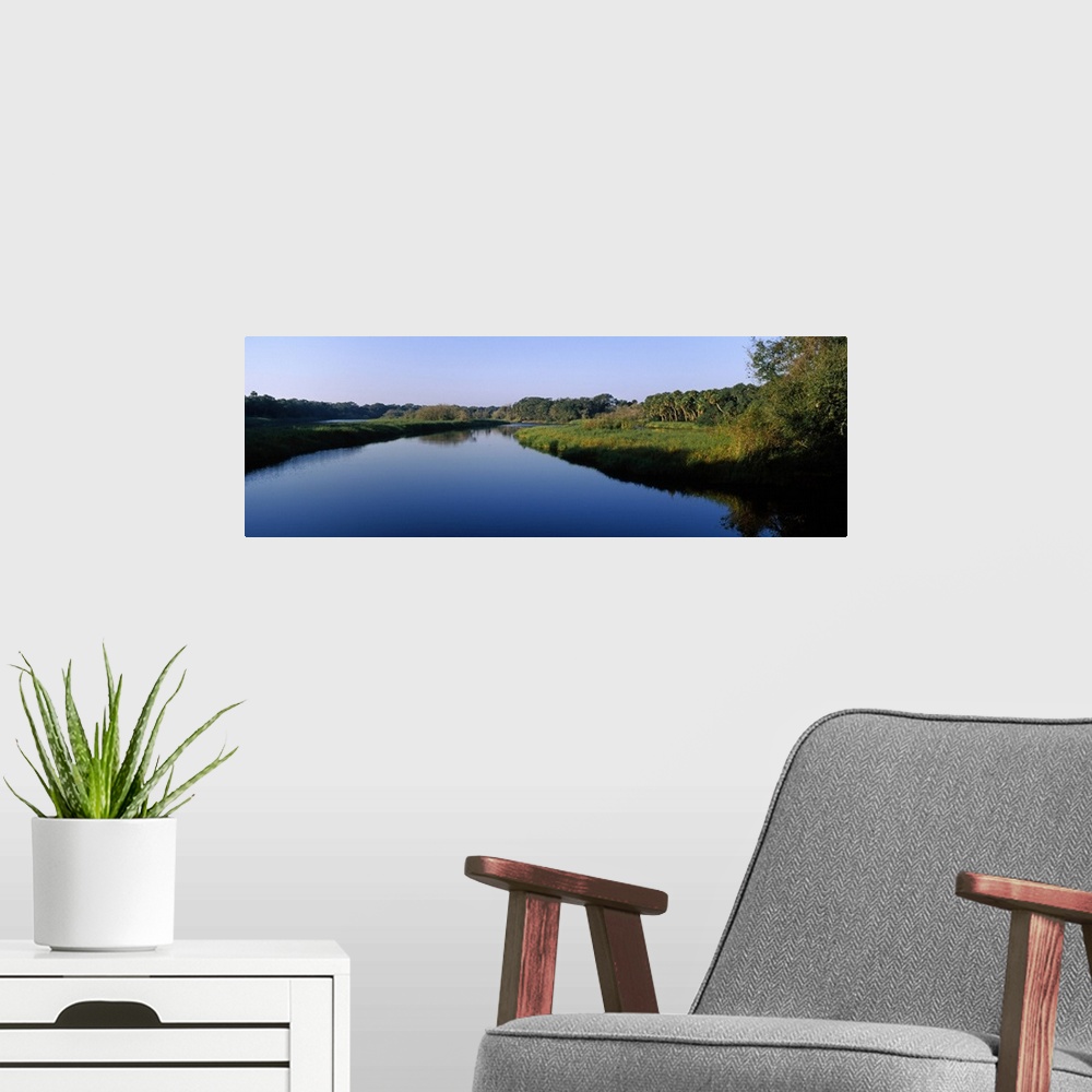 A modern room featuring River passing through a forest, Myakka River, Myakka River State Park, Sarasota, Sarasota County,...