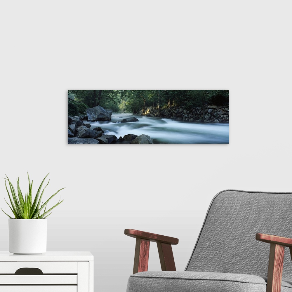 A modern room featuring Panoramic photograph of rocky stream lined with forest.