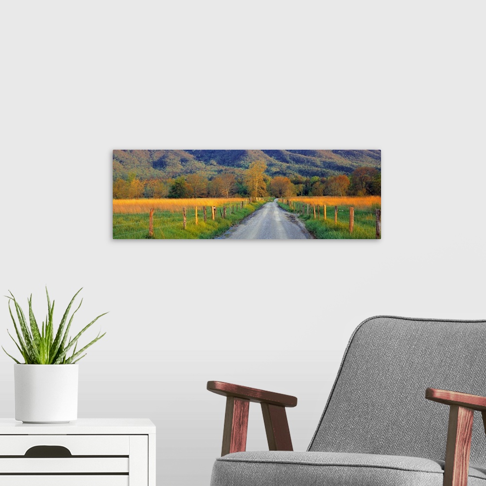 A modern room featuring Giant landscape photograph of a gravel road with fenced field on either side, leading toward a ho...