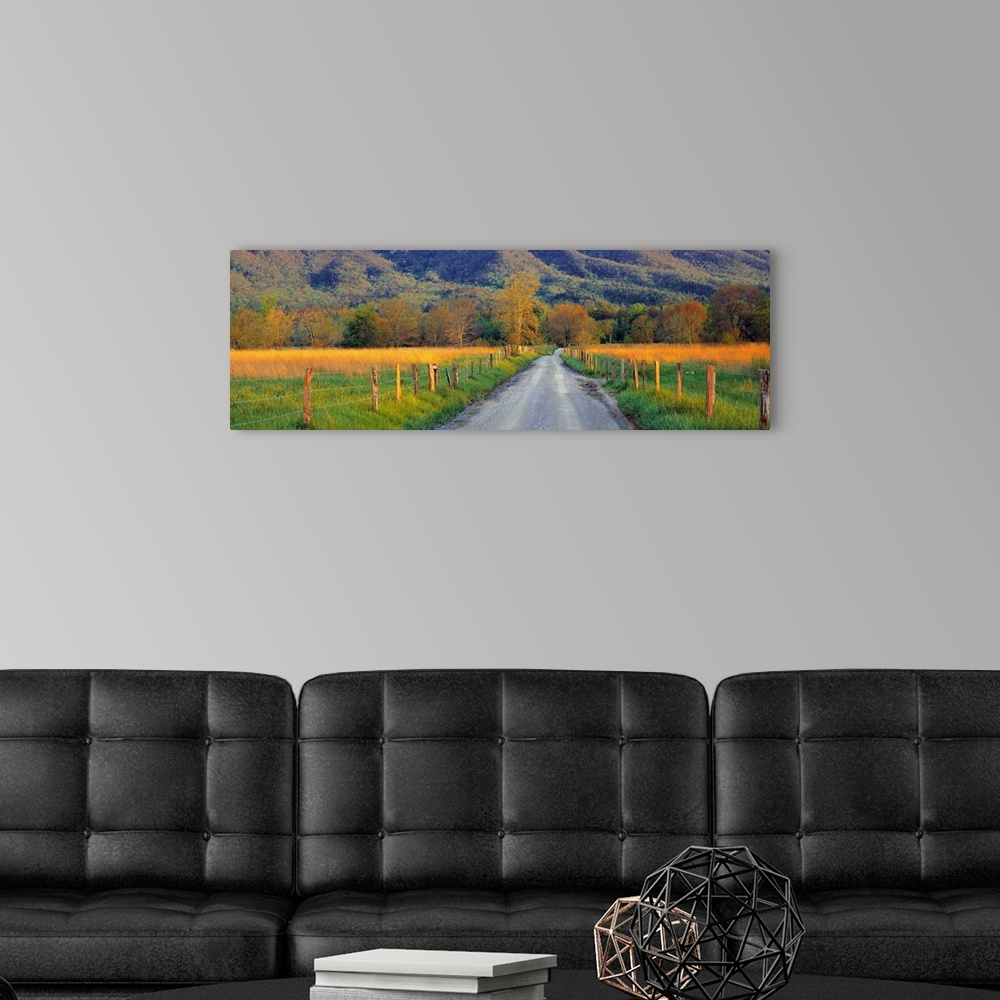 A modern room featuring Giant landscape photograph of a gravel road with fenced field on either side, leading toward a ho...