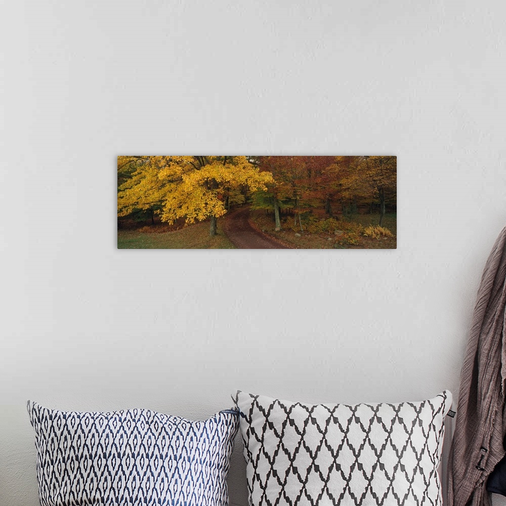 A bohemian room featuring Panoramic photograph of a road that curves through tall autumn trees and into the dense forest.