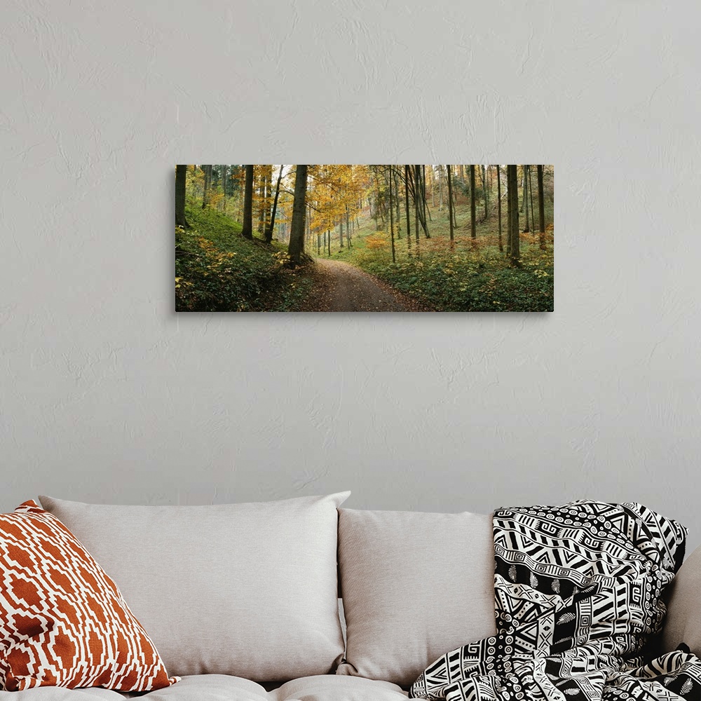 A bohemian room featuring Panoramic photograph of path winding through autumn colored forest.