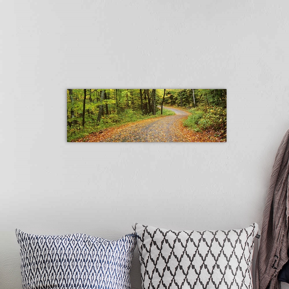 A bohemian room featuring Road passing through a forest, Country Road, Peacham, Caledonia County, Vermont