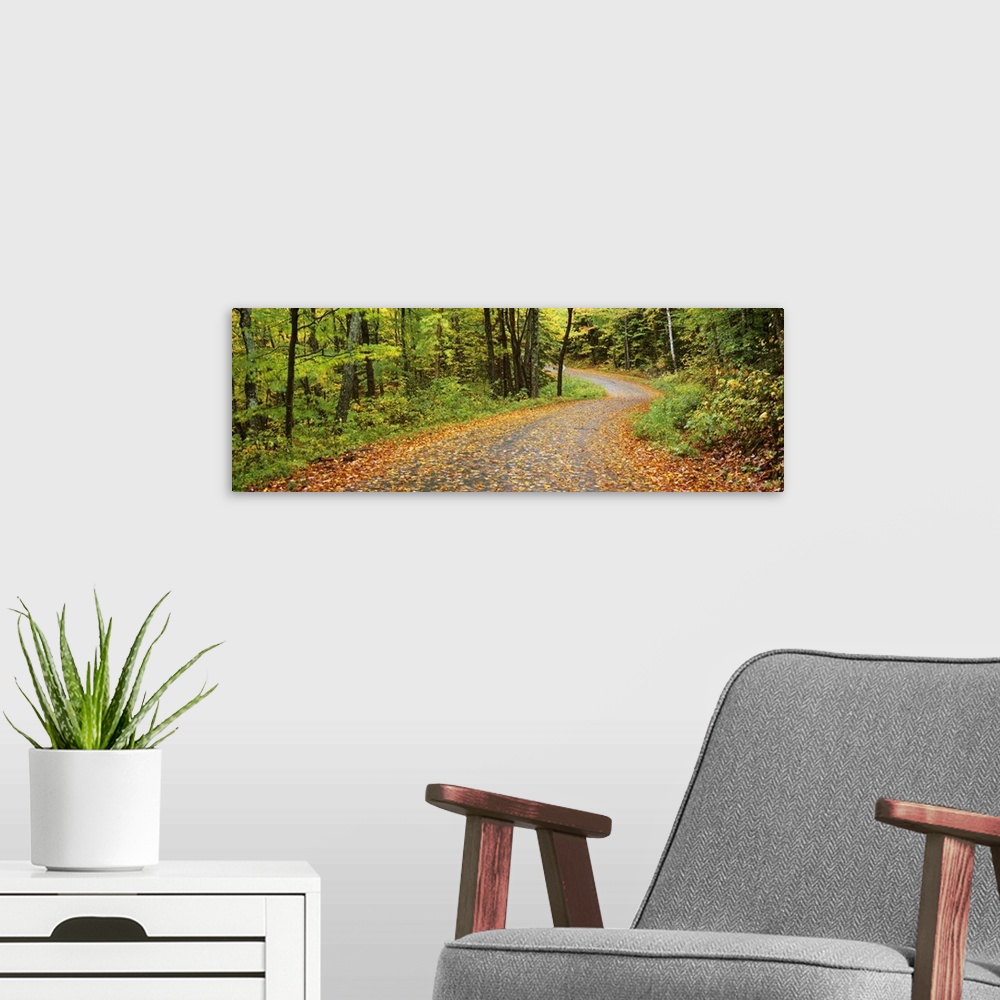 A modern room featuring Road passing through a forest, Country Road, Peacham, Caledonia County, Vermont