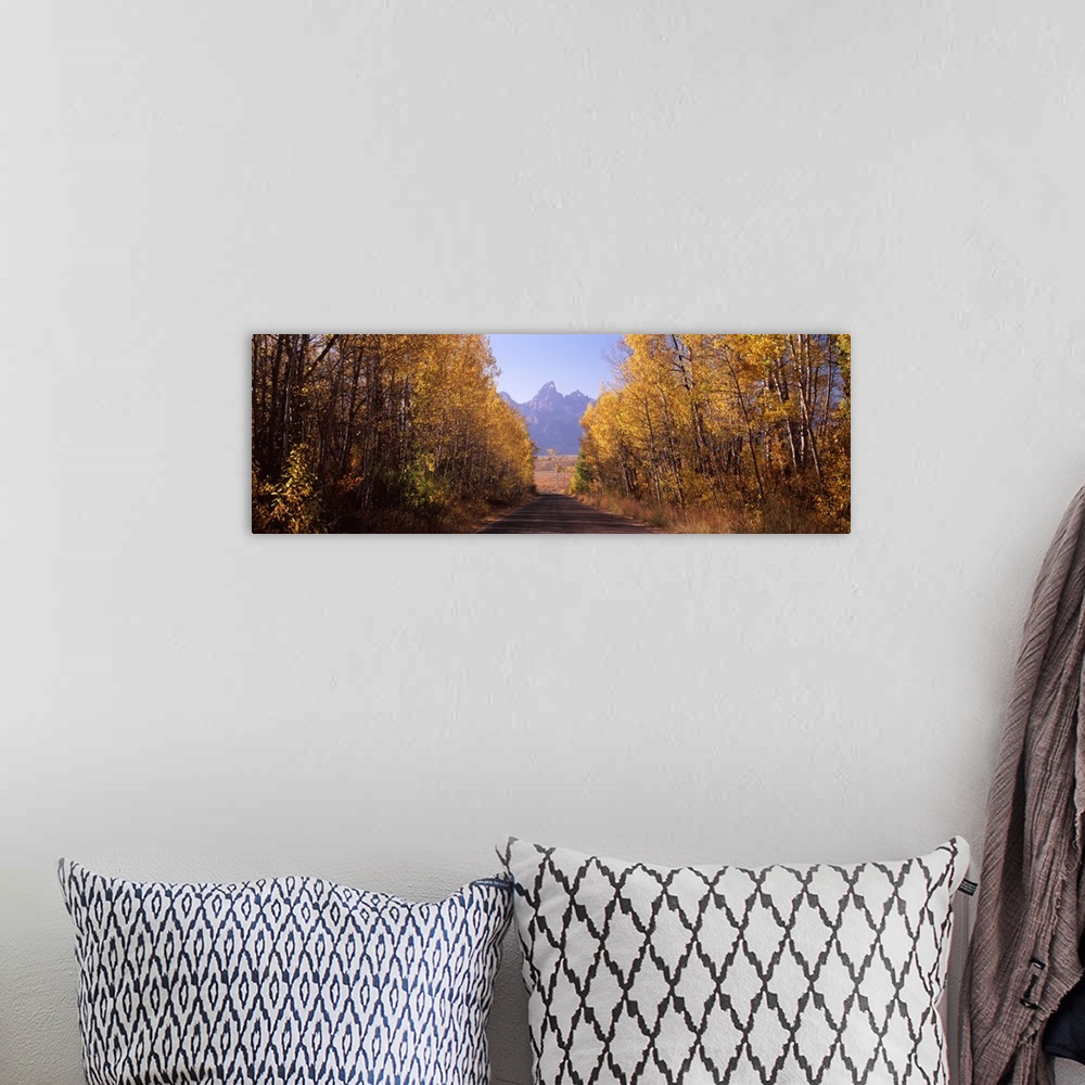 A bohemian room featuring Road passing through a forest Grand Teton National Park Teton County Wyoming