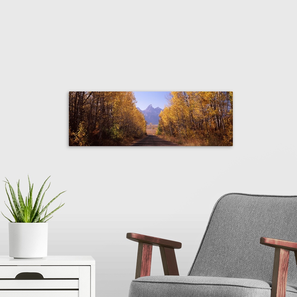 A modern room featuring Road passing through a forest Grand Teton National Park Teton County Wyoming