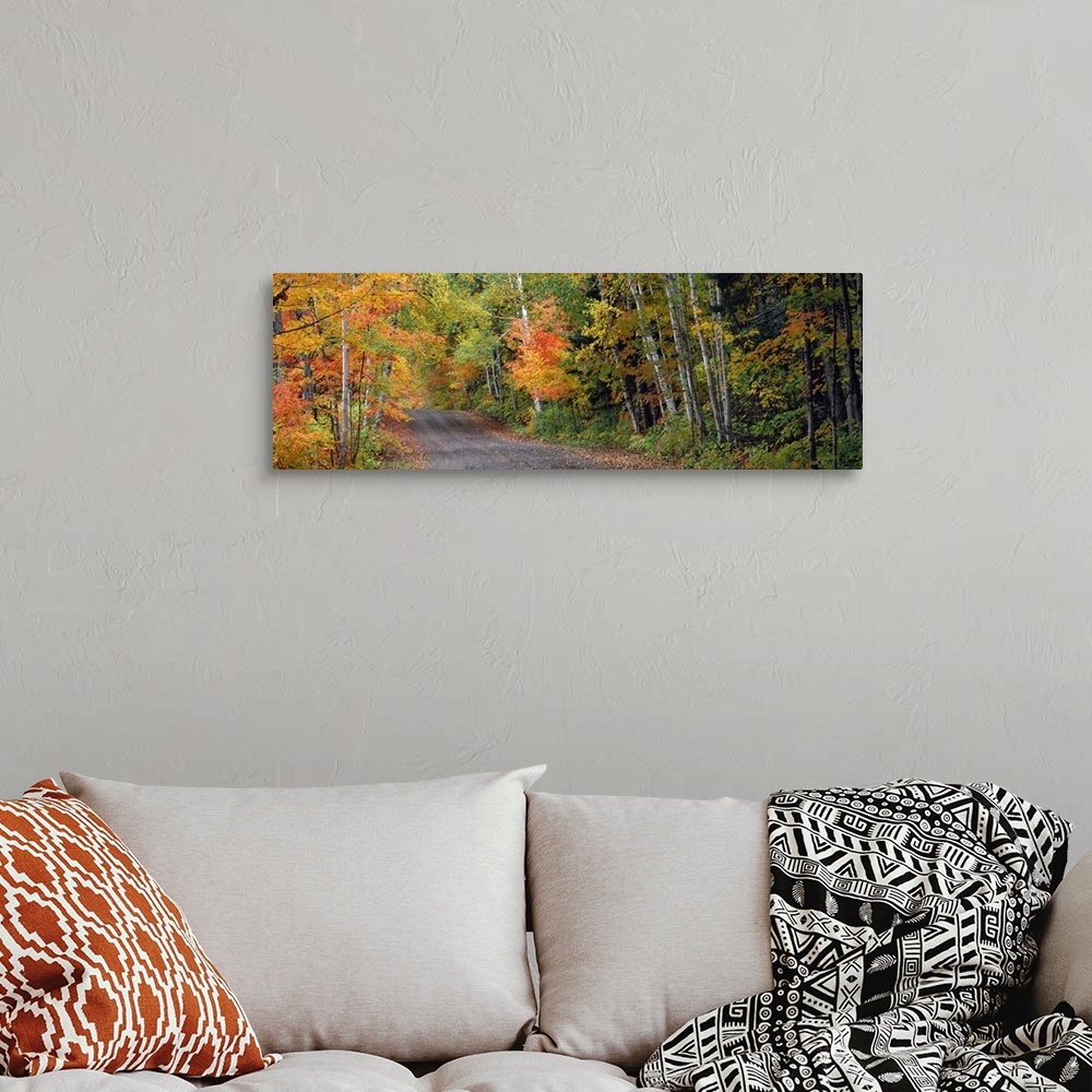 A bohemian room featuring A panoramic photograph of a road passing through a lush forest with autumn like colors.
