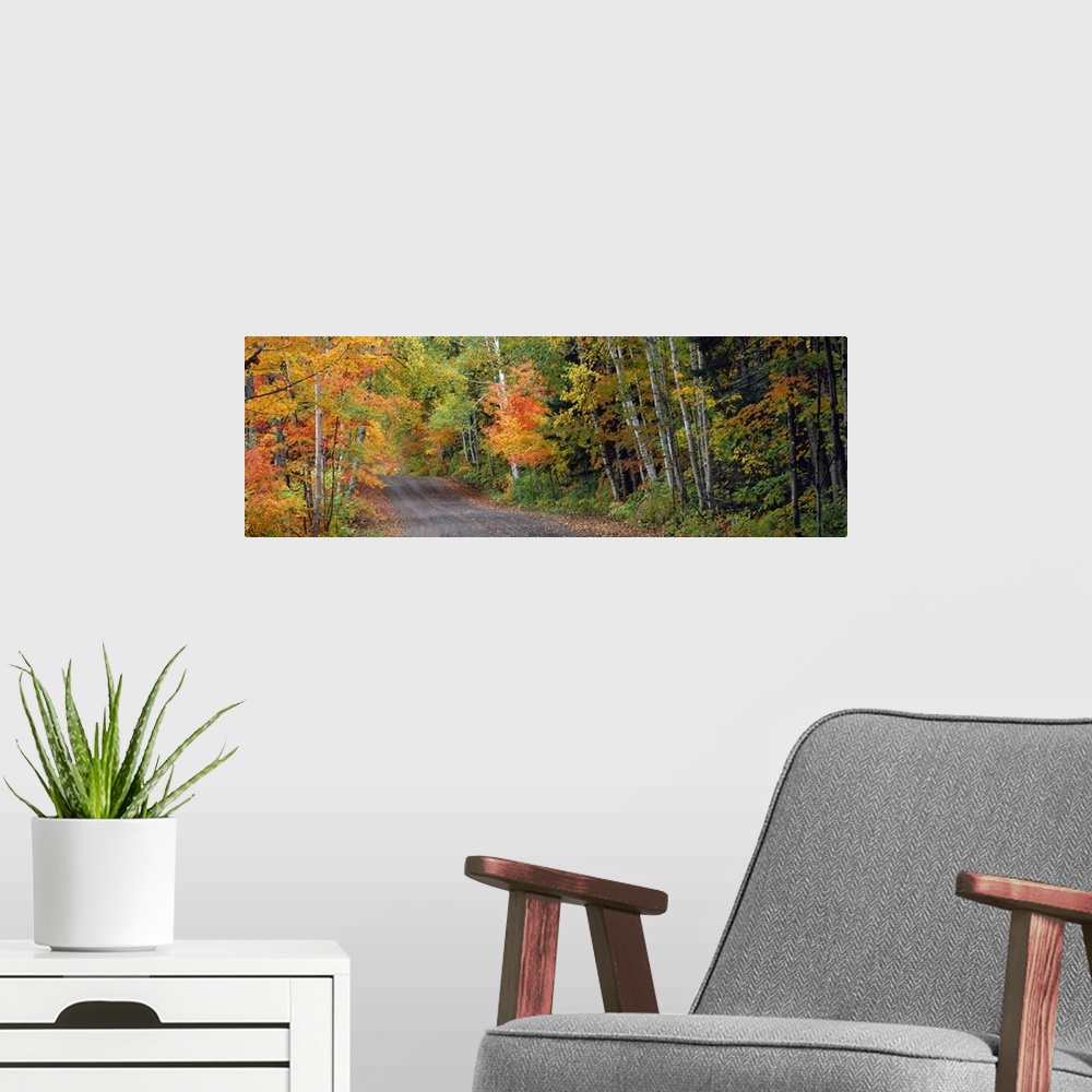 A modern room featuring A panoramic photograph of a road passing through a lush forest with autumn like colors.