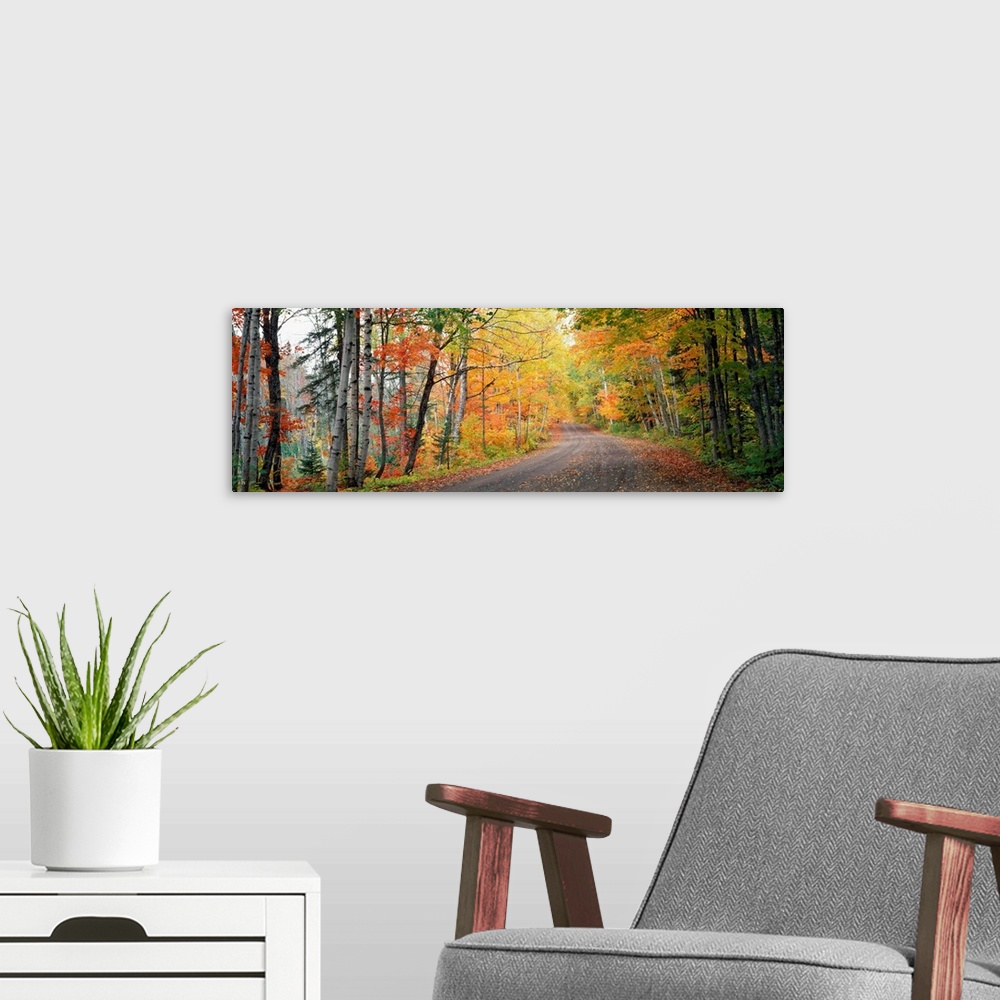 A modern room featuring Panoramic photograph taken of a street littered with the scattered leaves of the surrounding wood...