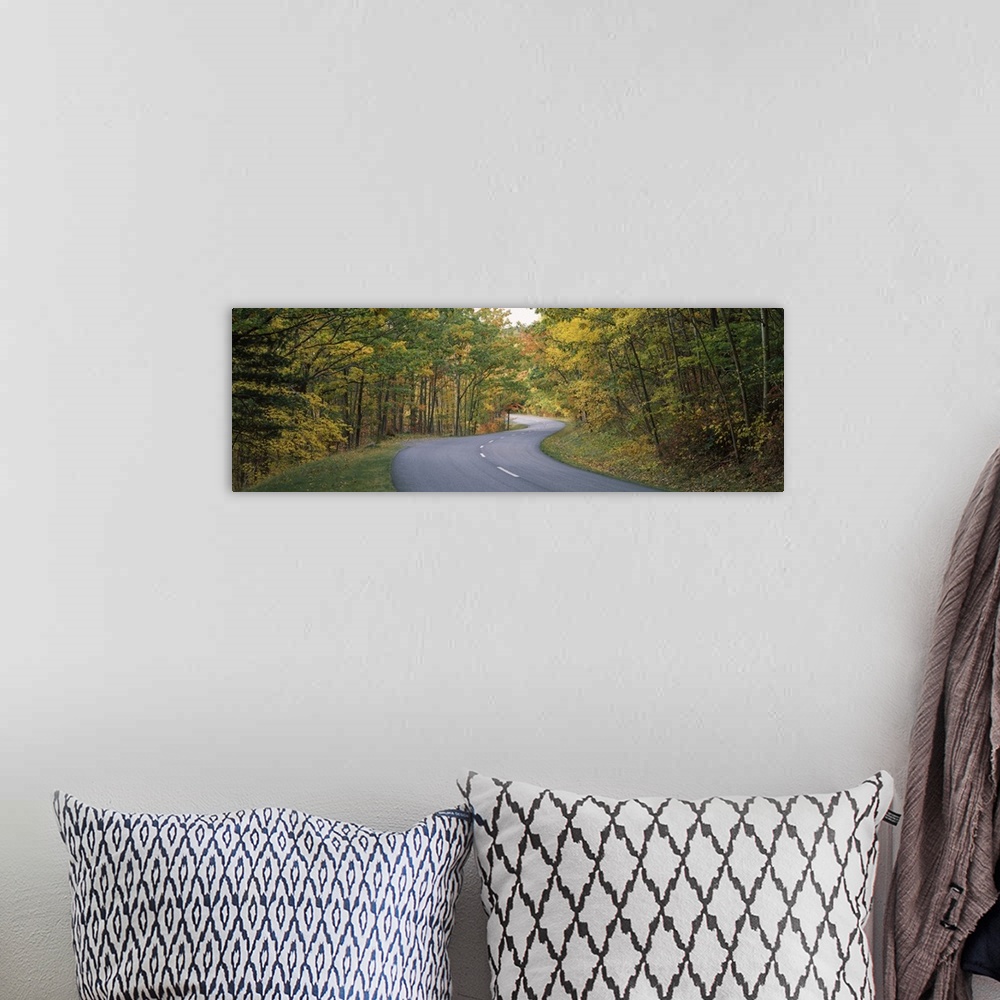 A bohemian room featuring Road passing through a forest, Park Loop Road, Acadia National Park, Hancock County, Maine