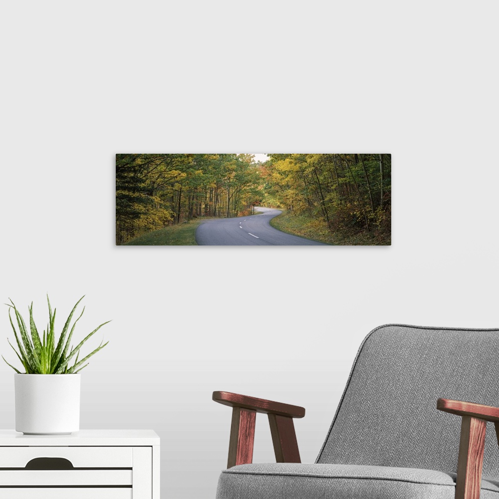 A modern room featuring Road passing through a forest, Park Loop Road, Acadia National Park, Hancock County, Maine