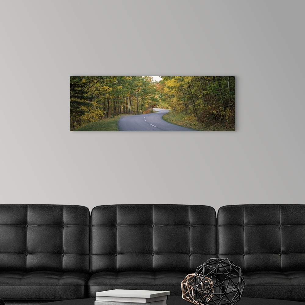 A modern room featuring Road passing through a forest, Park Loop Road, Acadia National Park, Hancock County, Maine