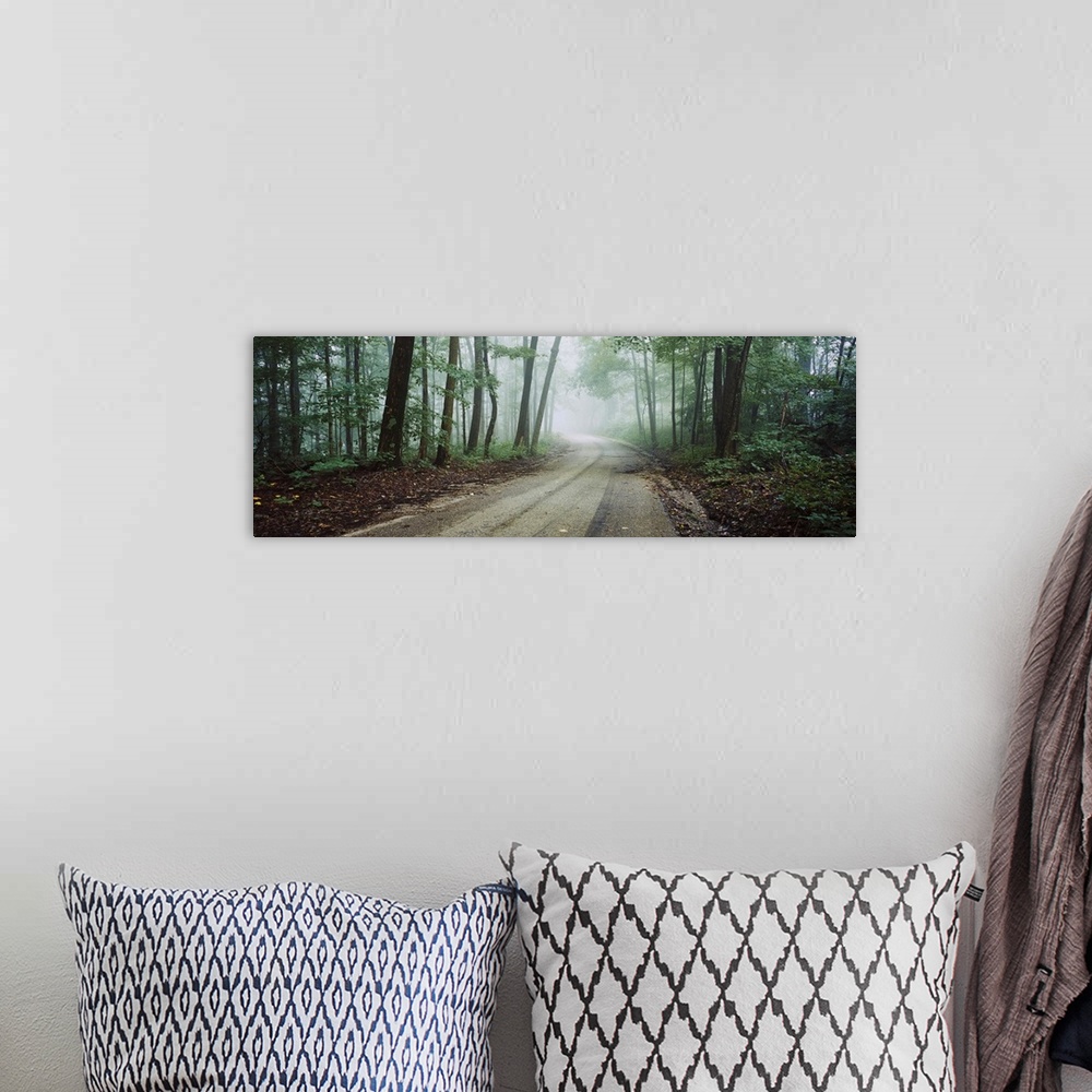 A bohemian room featuring Road passing through a forest, Skyline Drive, Jackson-Washington State Forest, Indiana