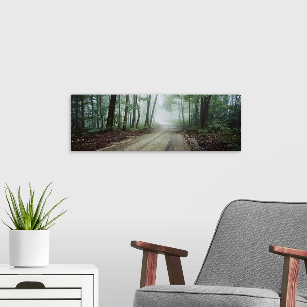 A modern room featuring Road passing through a forest, Skyline Drive, Jackson-Washington State Forest, Indiana